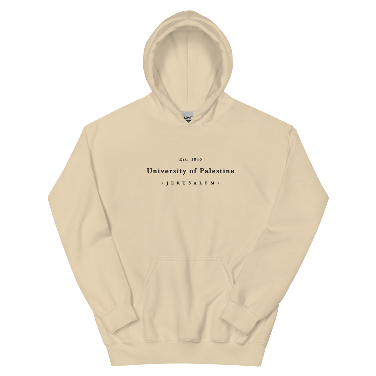 Embroidered University of Palestine - Hoodie