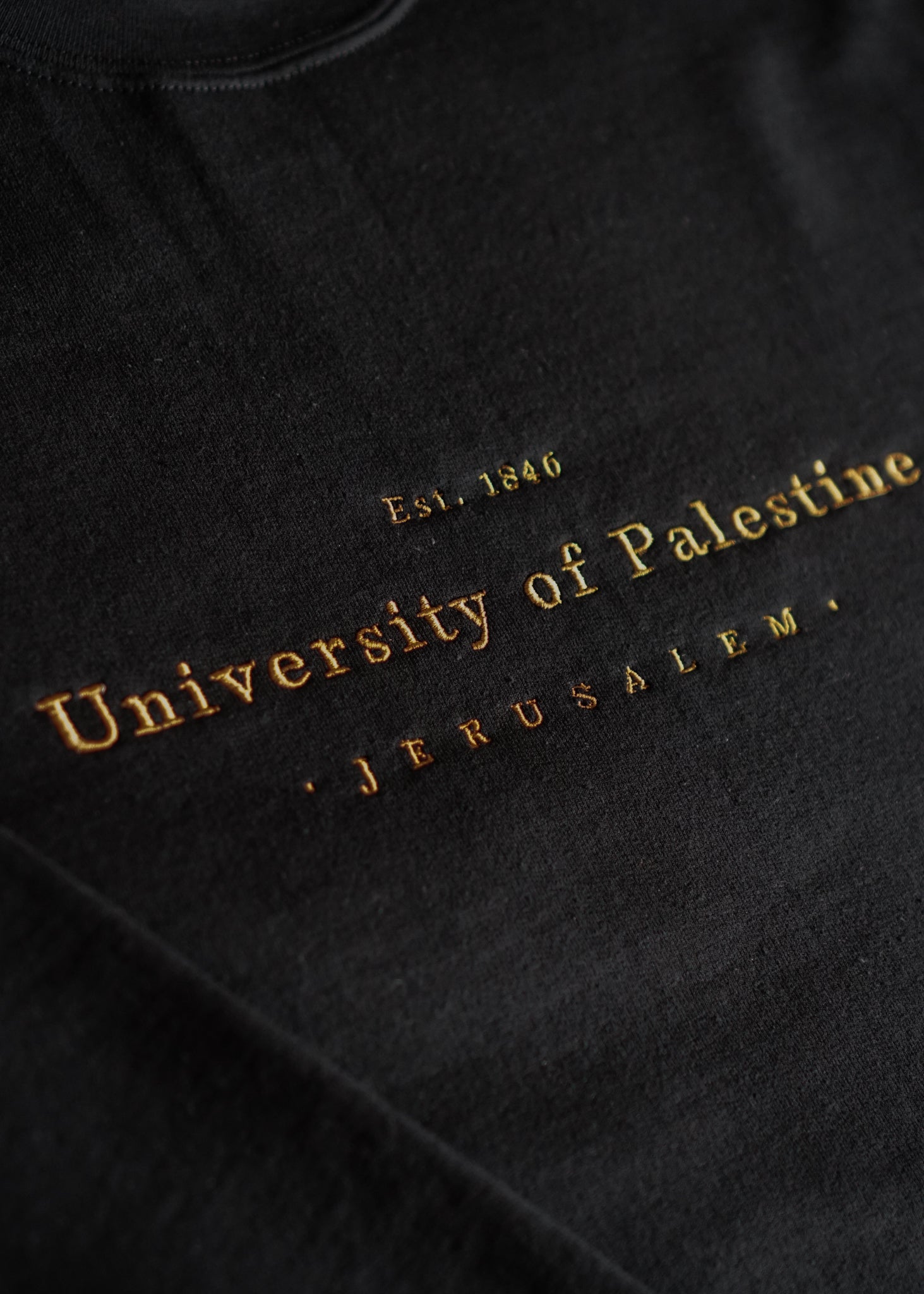 Embroidered University of Palestine - Hoodie