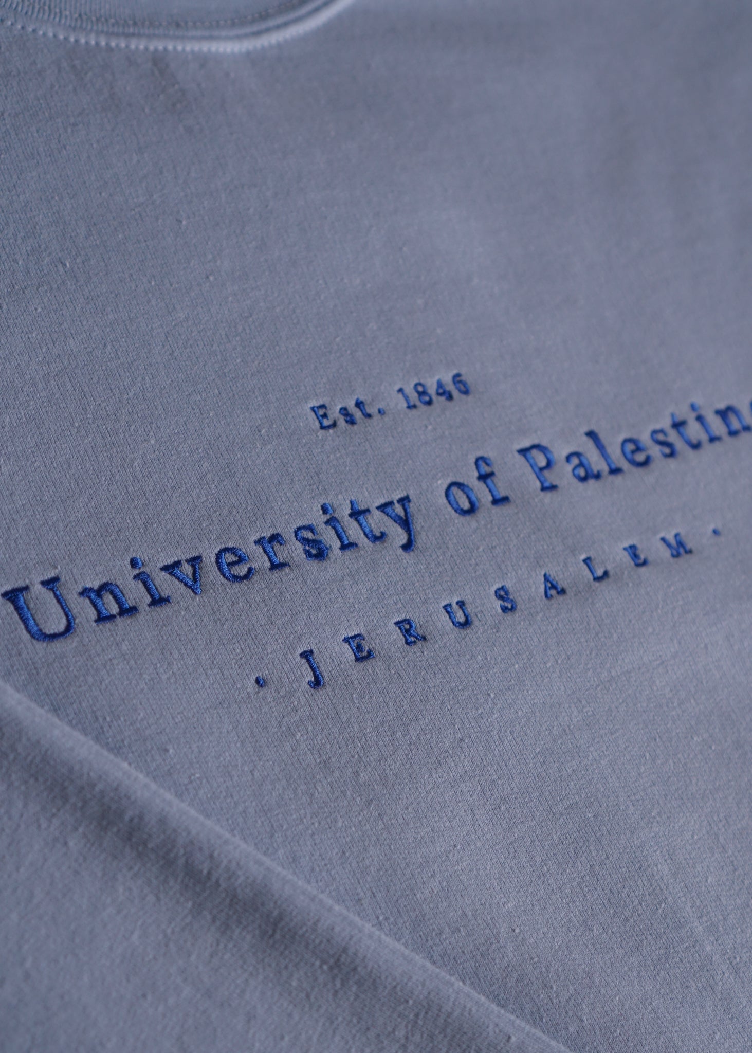 Embroidered University of Palestine - Hoodie