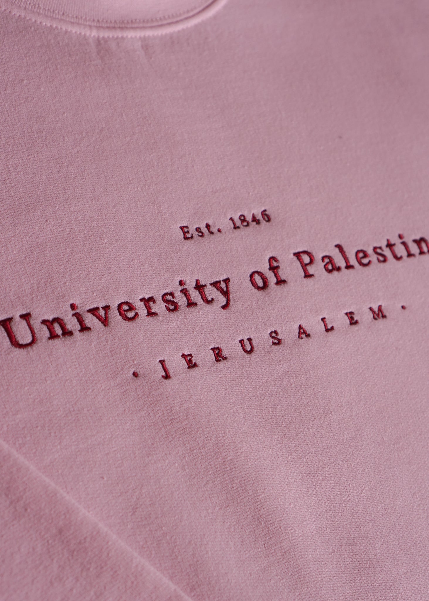 Embroidered University of Palestine - Hoodie