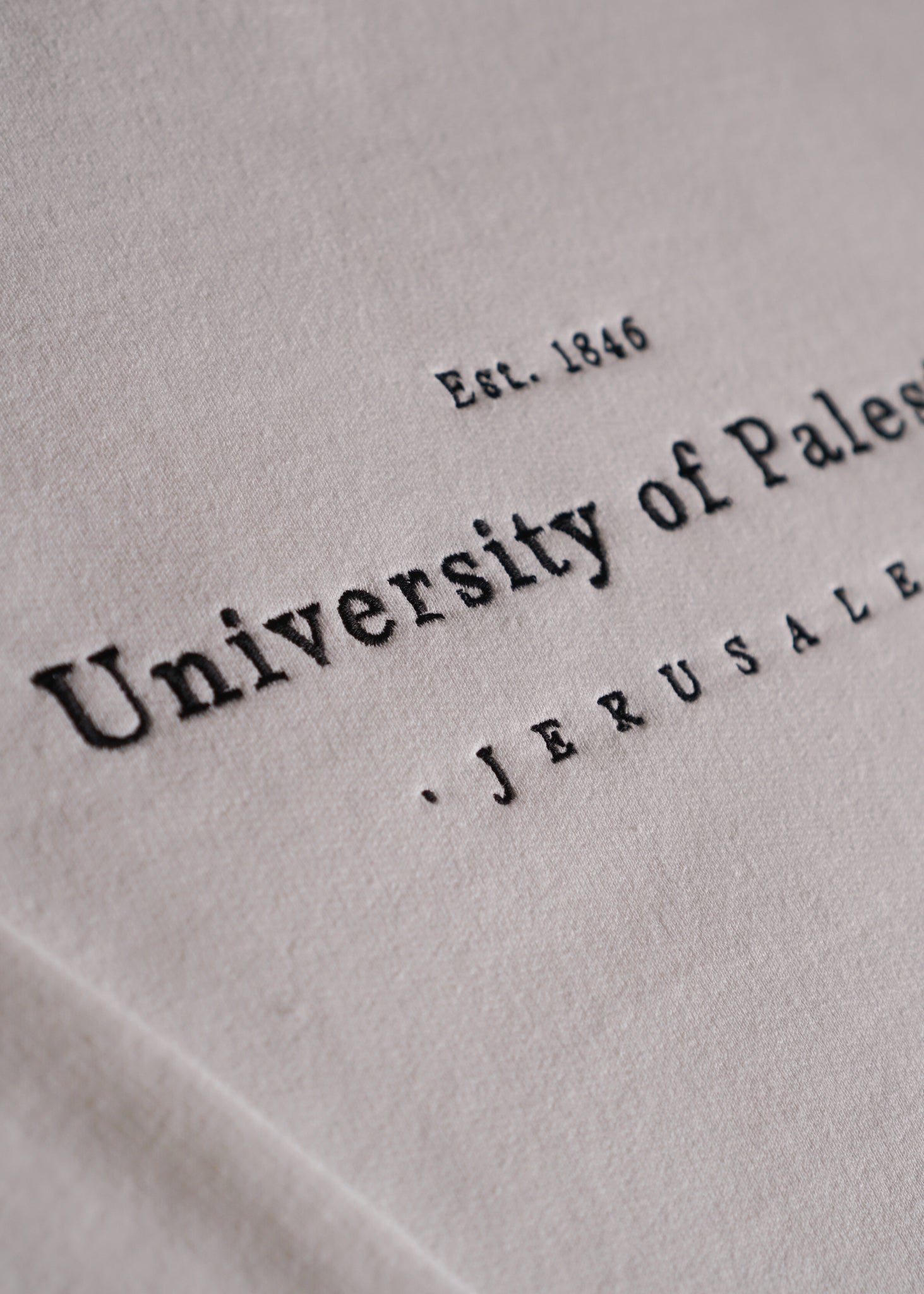 Embroidered University of Palestine - Sweatshirt