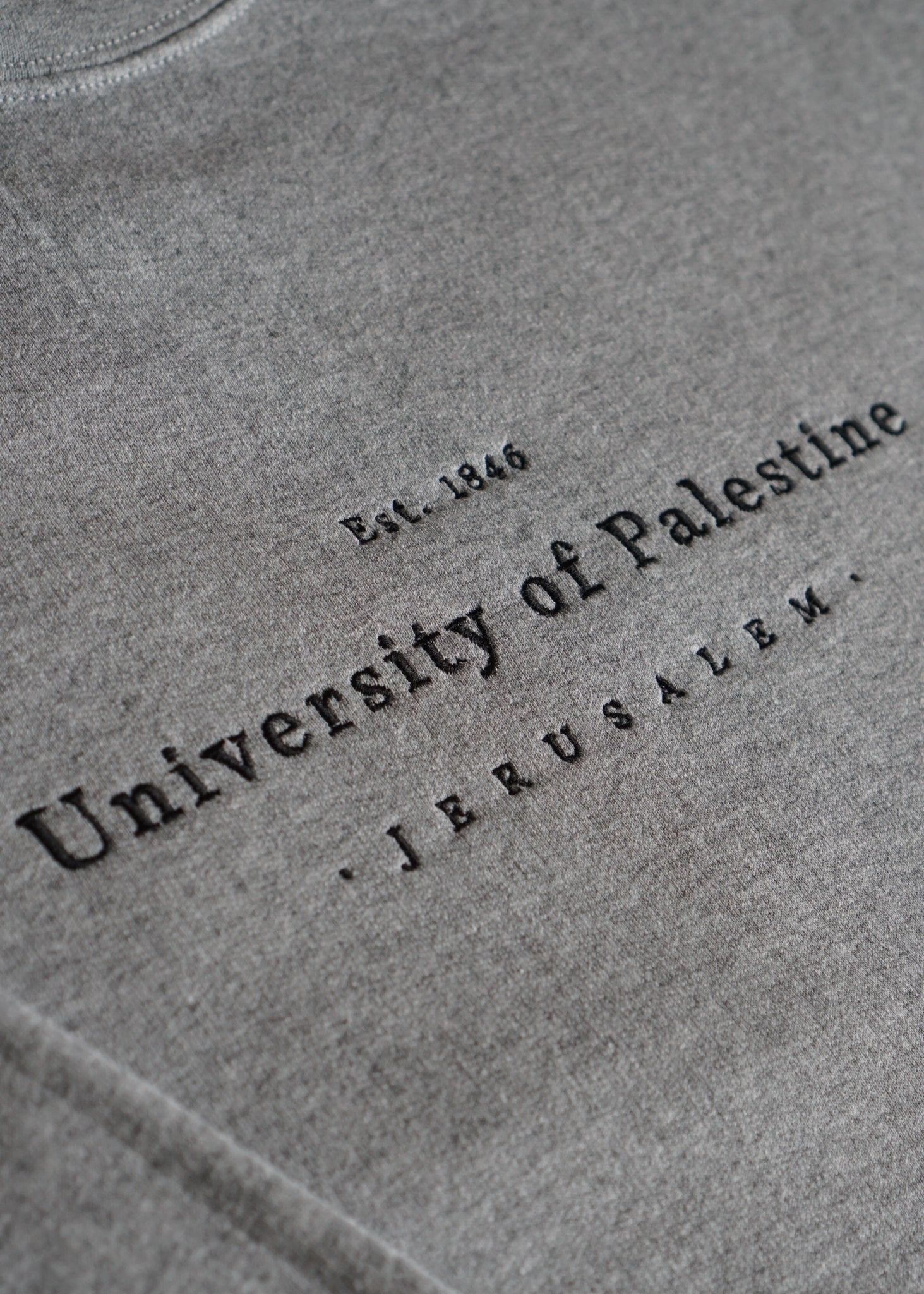 Embroidered University of Palestine - Sweatshirt