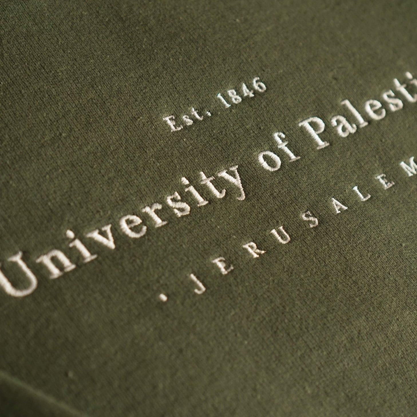 Embroidered University of Palestine - Hoodie