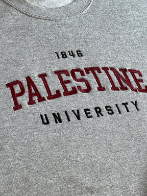 Palestine University 1846 - Hoodie