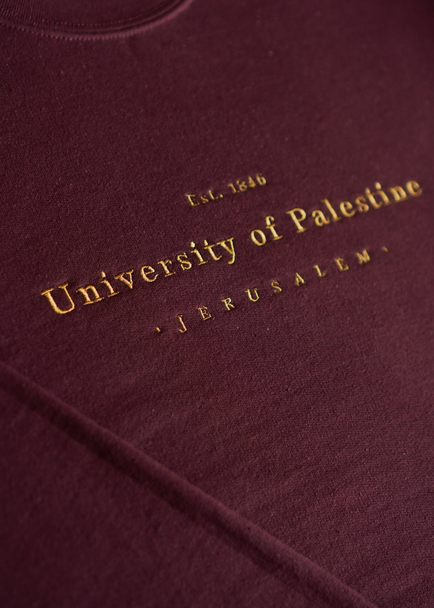Embroidered University of Palestine - Hoodie