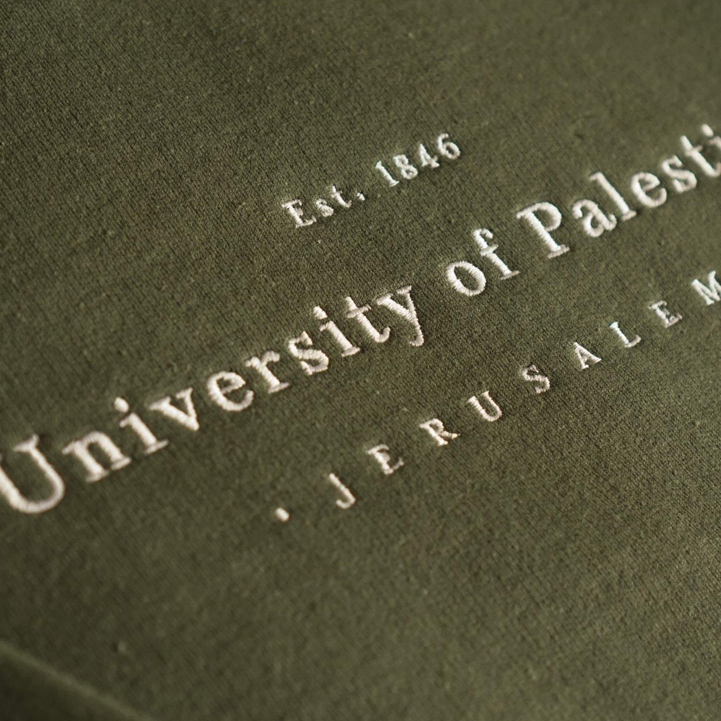 Embroidered University of Palestine - Hoodie