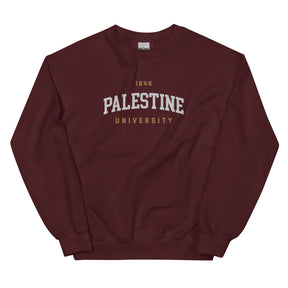 Palestine University 1846 sweatshirt in grey by Dar Collective