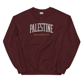 Palestine university sweatshirt in maroon by Dar Collective