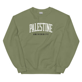 Palestine university sweatshirt in green by Dar Collective