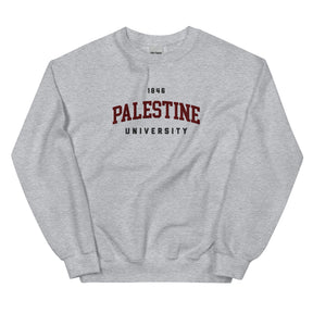 Palestine University 1846 sweatshirt in grey by Dar Collective