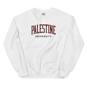 Palestine university sweatshirt in white by Dar Collective