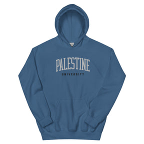 Palestine university hoodie in blue by Dar Collective