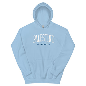 Palestine university hoodie in light blue by Dar Collective