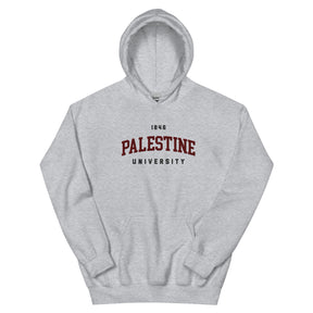 Palestine University 1846 hoodie in grey by Dar Collective