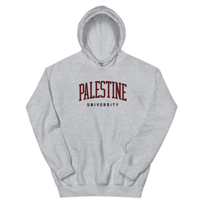Palestine university hoodie in grey by Dar Collective