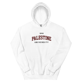 Palestine University 1846 hoodie in white by Dar Collective