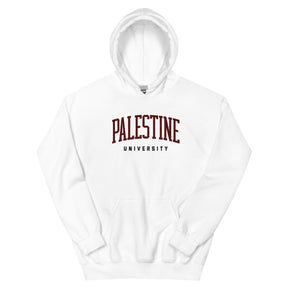 Palestine university hoodie in white by Dar Collective